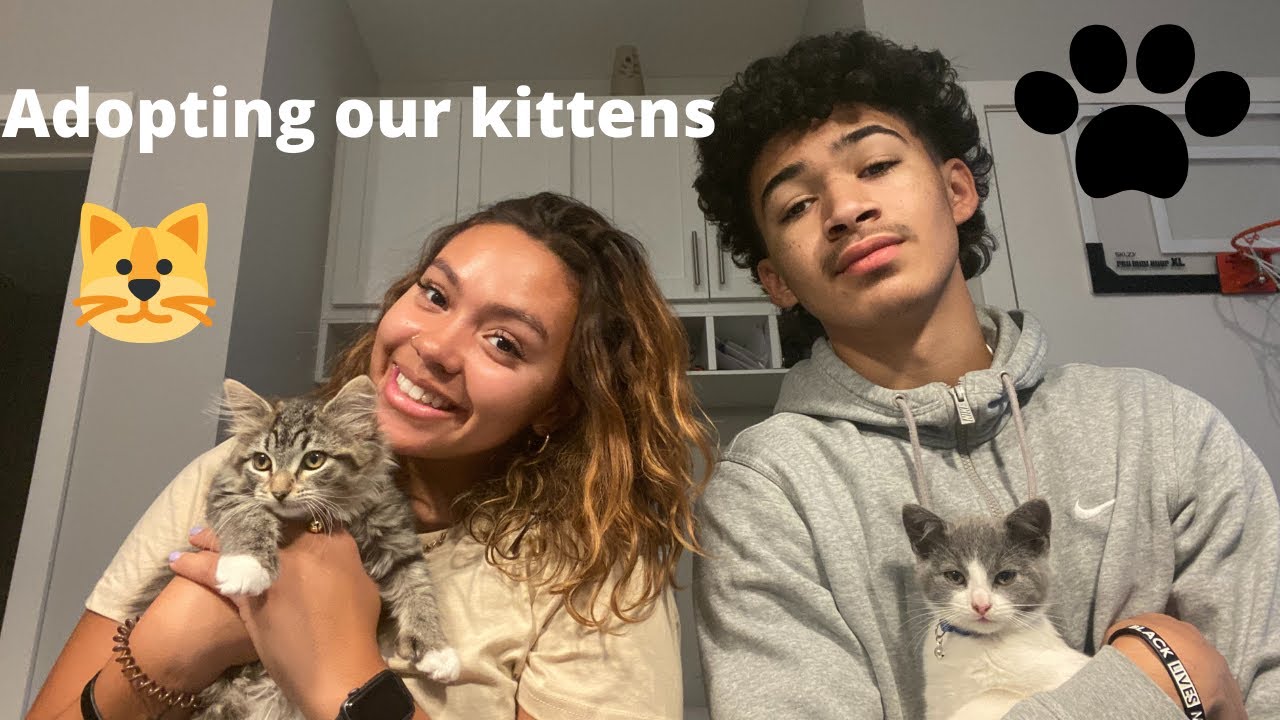 VLOG: Picking up our 8 week old kittens + Haul!!🤍🤍