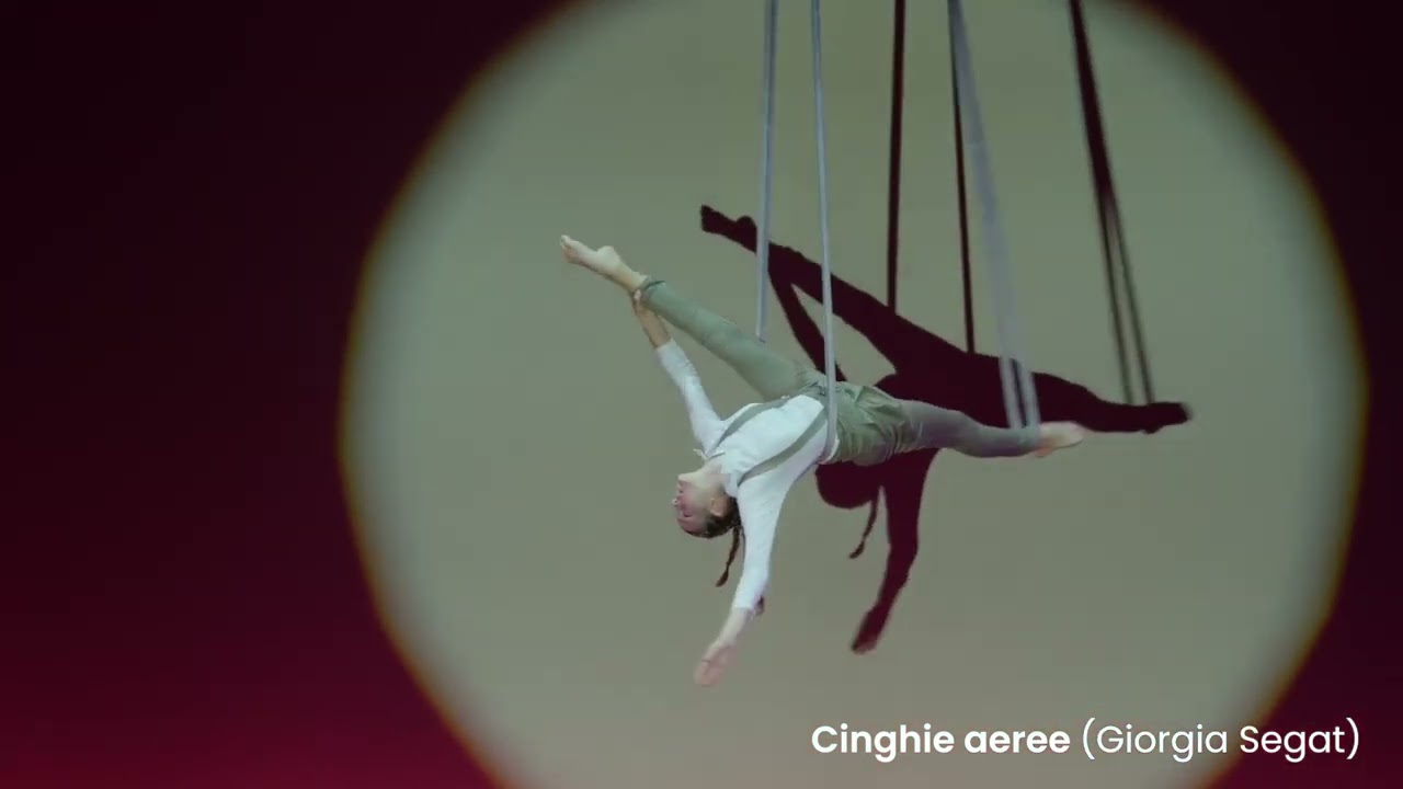 Cinghie aeree (Giorgia Segat)
