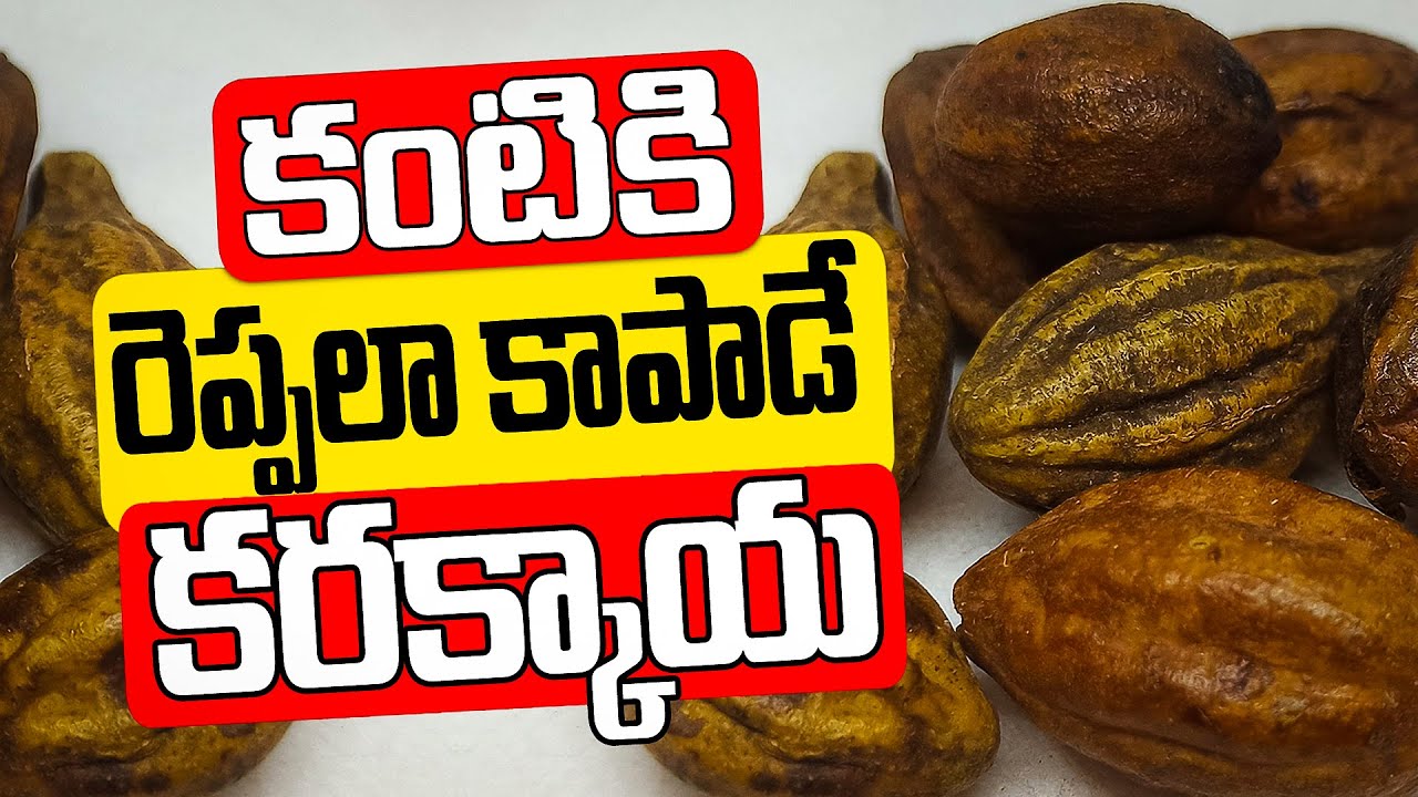 KARAKKAYA REVOLUTION! Discover the Ancient Ayurvedic Secret to AMAZING Health Benefits