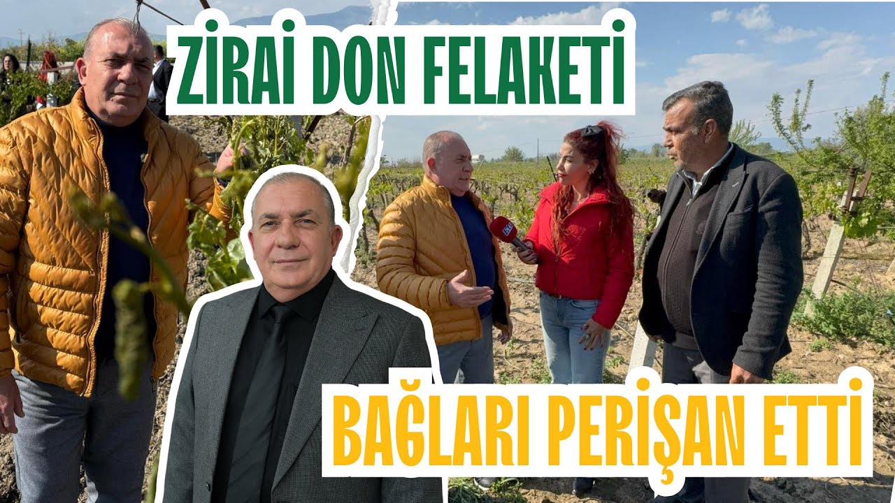 Haber Özel | Manisa'da Zirai Don Felaketi