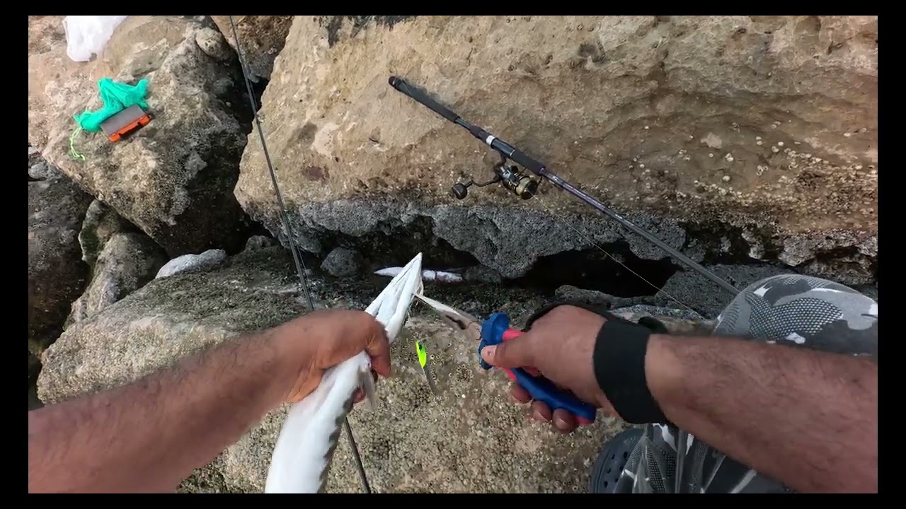 AMAZING! 😃 We Caught of king and barracuda Fish in a Single Catch! 🤩WOW!