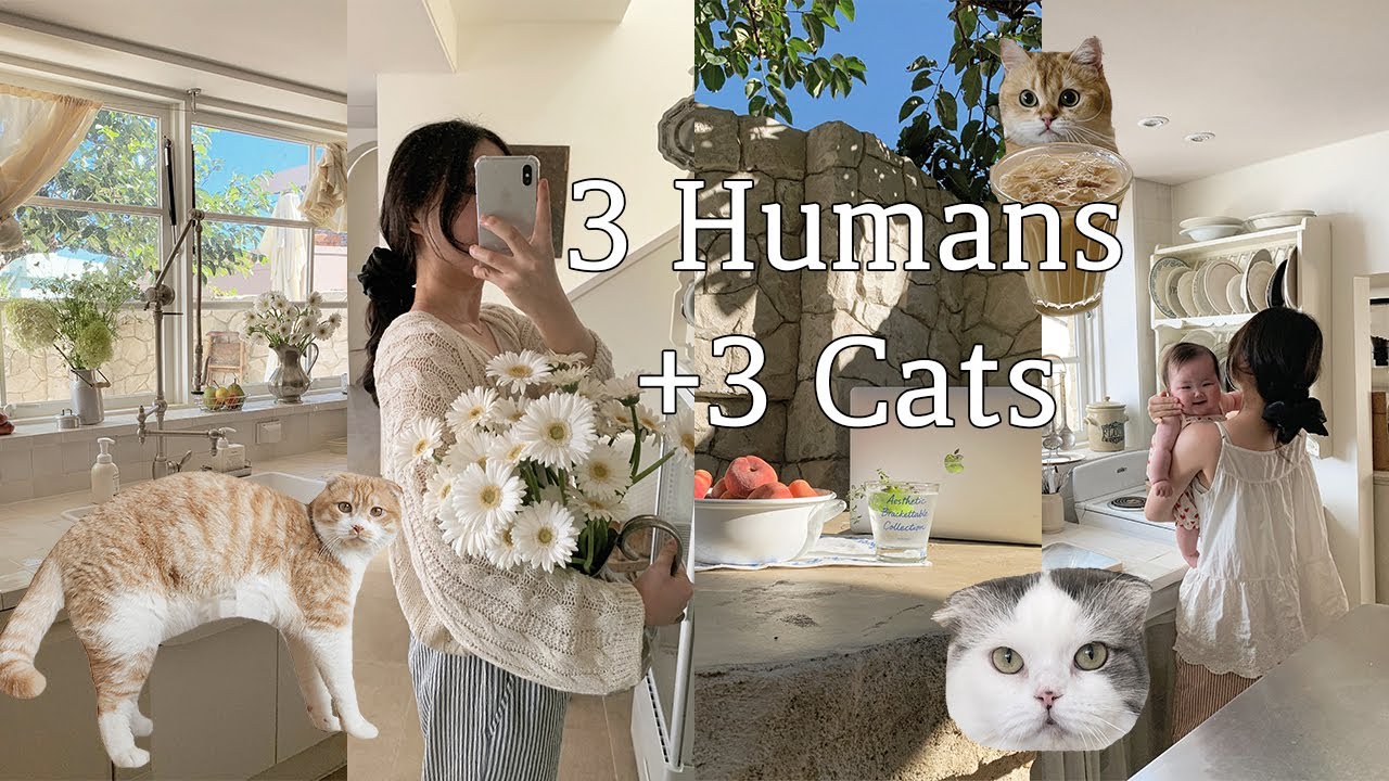 주택살이하는 3인 3묘 가구