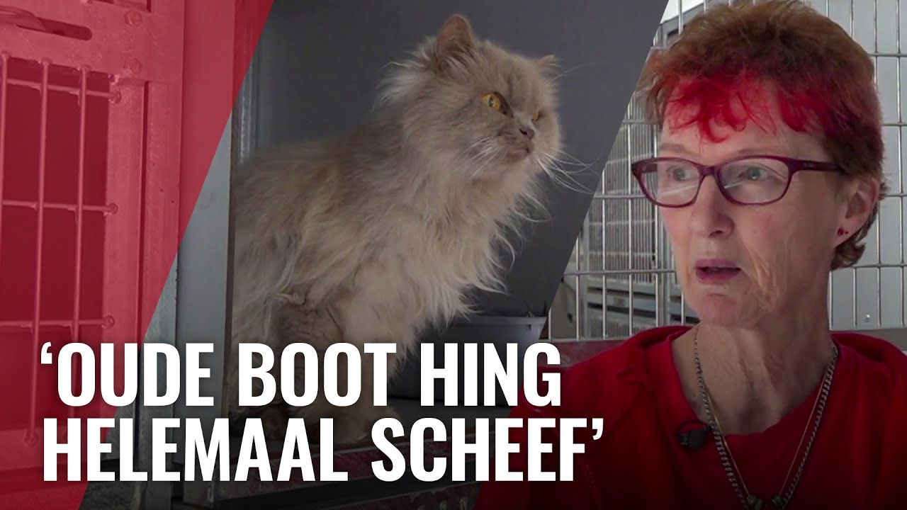 Poezenboot na 45 jaar verhuisd naar nieuwe boot