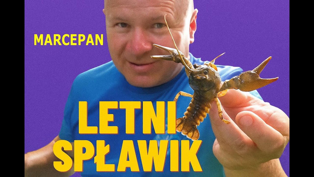 Ale urwał... Kolejna Zanęta Lin-Marcepan. Nowy spławik, pracuje jak maszyna do wyciągania ryb.