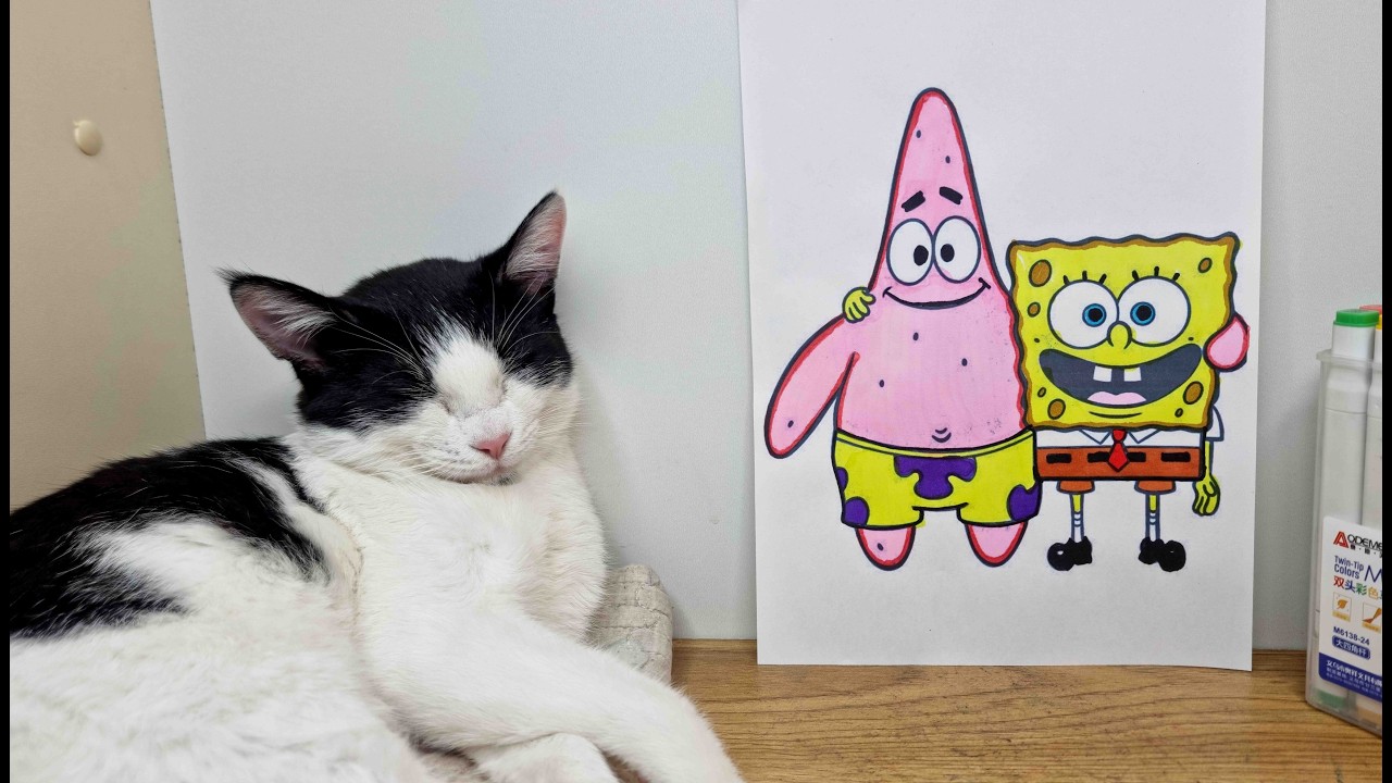 SpongeBob and Patrick Coloring Book 🎨 Relaxing Cartoon Coloring Video