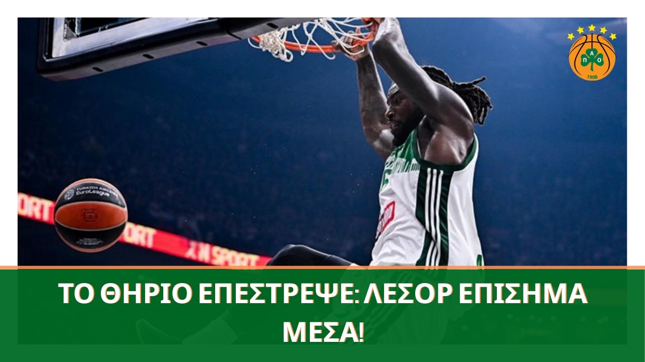 Ο Ματίας Λεσόρ ενισχύει τον Παναθηναϊκό κόντρα στη Ζάλγκιρις μετά τον σοβαρό τραυματισμό! ☘️🏀