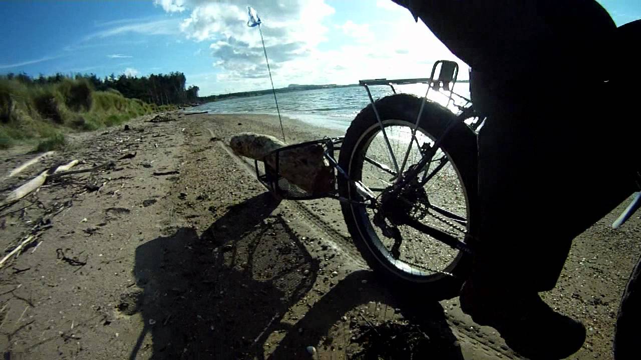 Fat BOB Trailer & Surly Pugsley