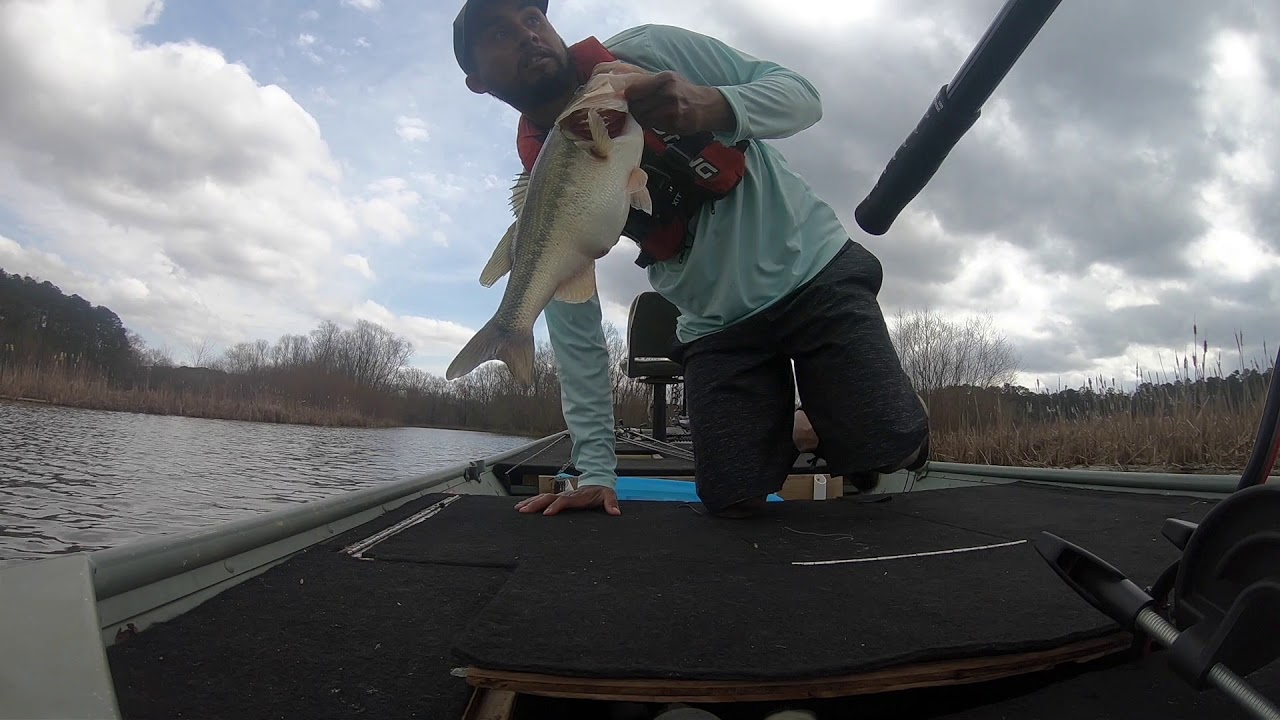 Mi Primer Pesca De Bass Lobina