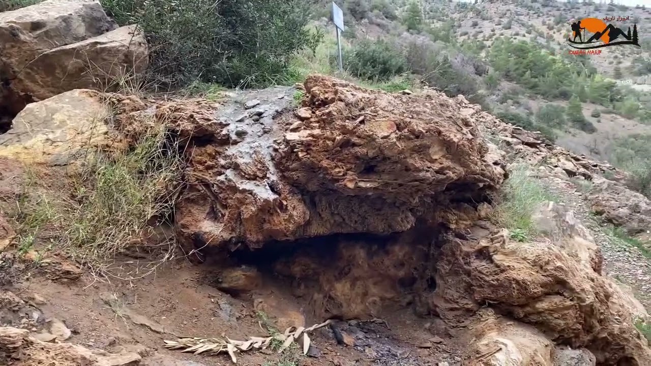 هنا 