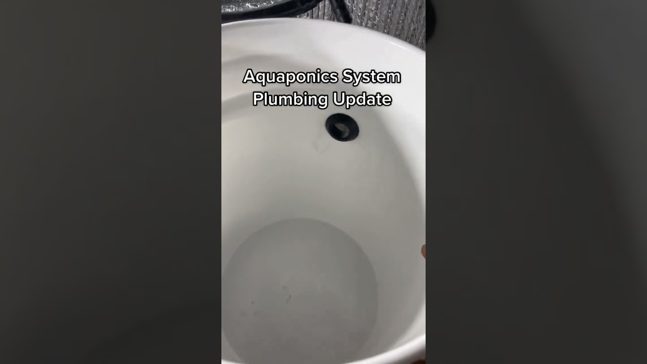 Aquaponics System Plumbing System Update #aquaponicssystem