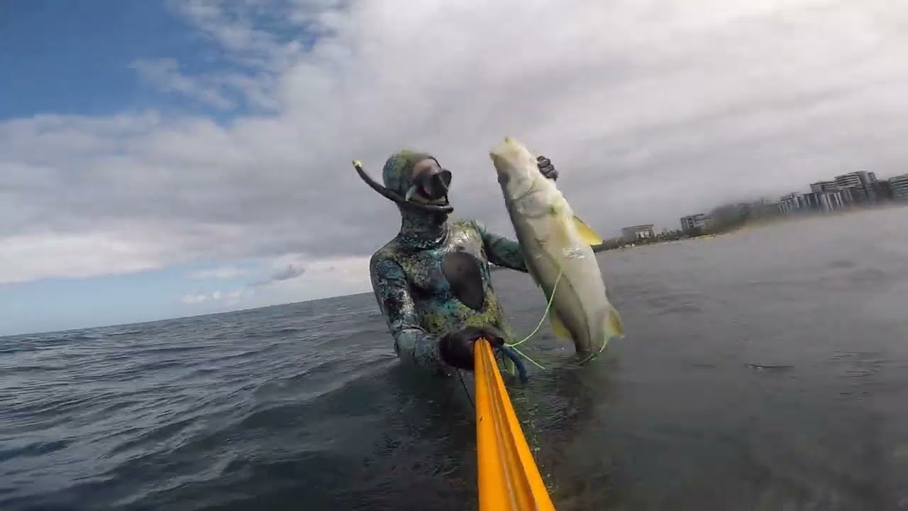 Saiu o Listra , pescasub Maceió spearfishing