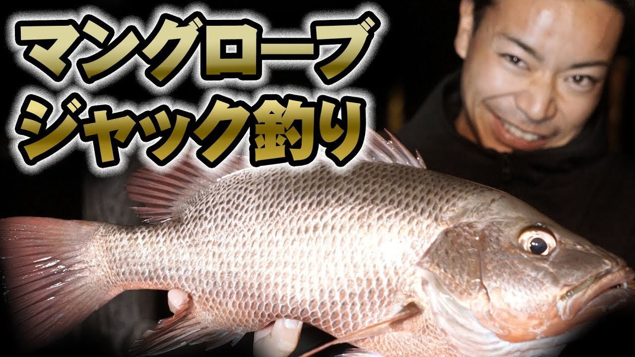 マングローブジャックの釣り方【ゴマフエダイ】【カースビー】【ルアー】