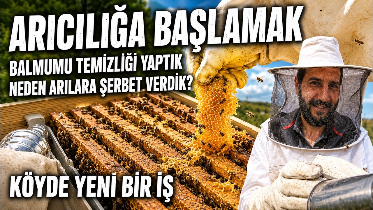 ARICILIK ÖĞRENİYORUZ 3.GÜN :) ARI ŞERBETLEME, KOVAN BALMUMU TEMİZLİĞİ ve YİNE ETRAFIMIZ SARILDI :)