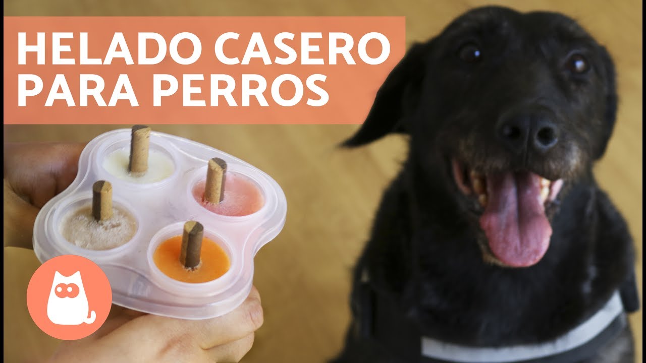 HELADO PARA PERROS - Helado casero en 5 minutos