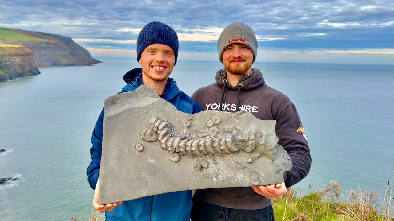 Treasure in the Rocks?! Golden Gastropod & Ichthyosaur Spine Found!