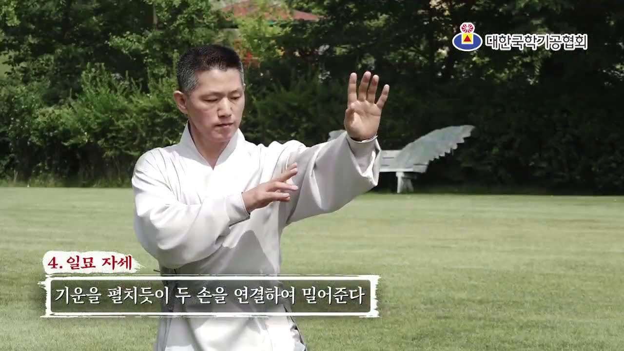 기본자세8수 국학기공배우기 준비 동작2