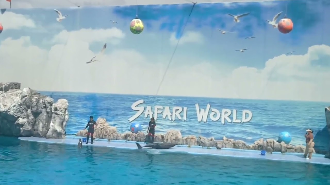 DOLPHIN 🐬🐬🐬🐬🐬🐬🐬🐬🐬🐬🐬🐬 SHOW 🐬🐬🐬🐬 SHOW THIALAND 