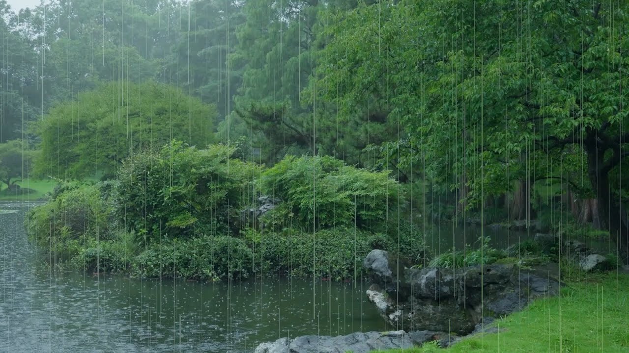 The beautiful lotus pond is raining(21) , sleep, relax, meditate, study, work, ASMR