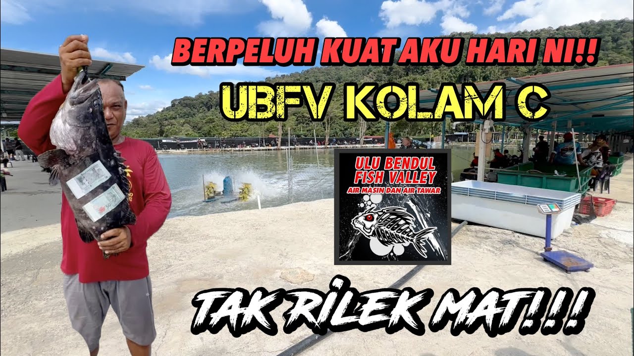 IKAN KELAPARAN | DALAM SEJARAH BERPELUH SEBAB TARIK IKAN‼️| Kolam C ULU BENDUL FISH VALLEY 14-9-2024