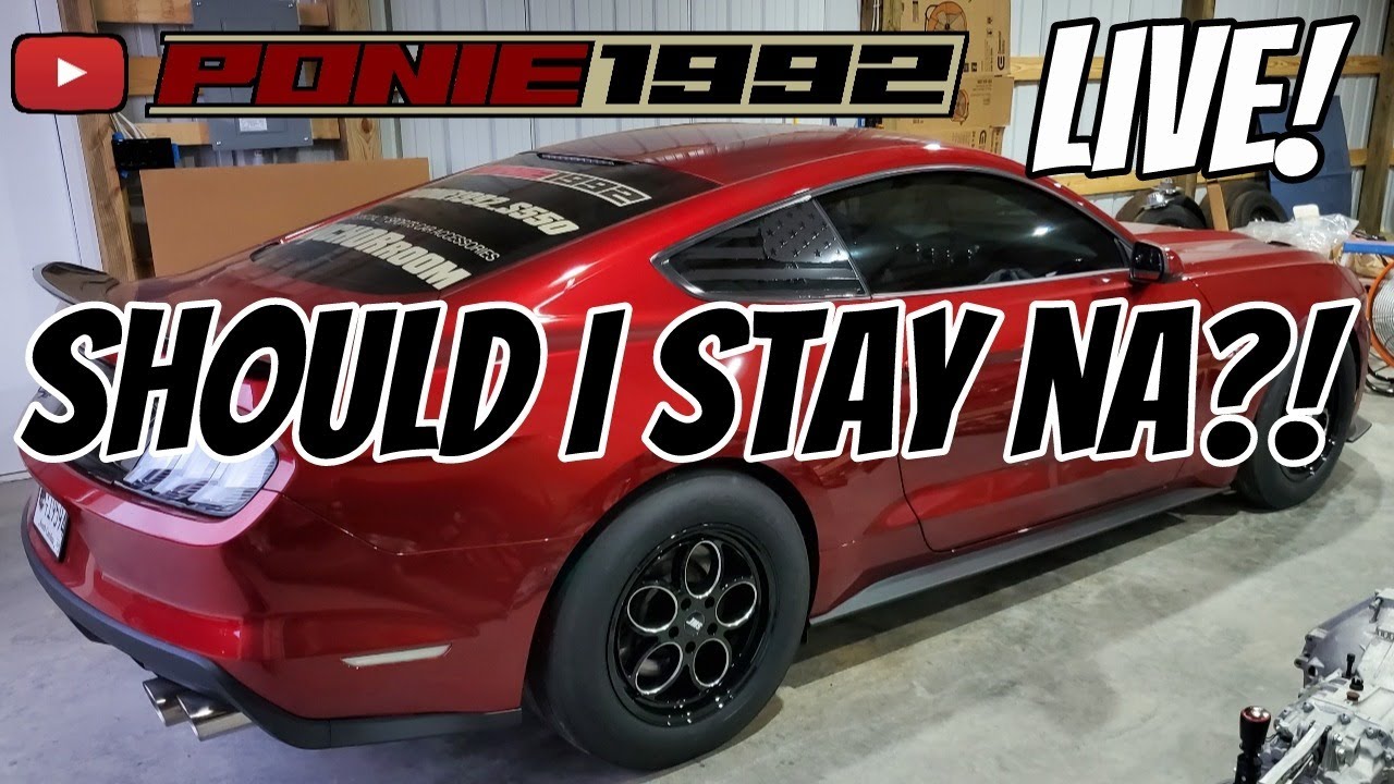 Should I stay NA with project Stepchild? What are my goals?