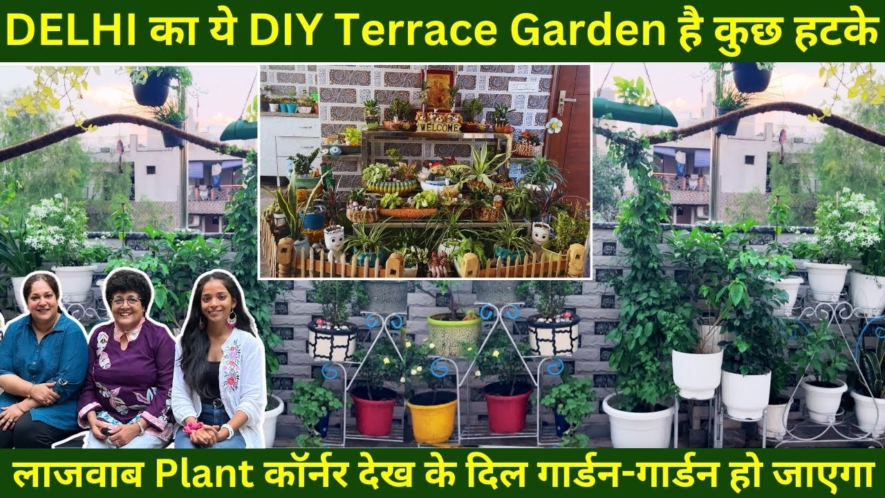DELHI का ये DIY Terrace Garden है कुछ हटके|ऐसे लाजवाब Plant कॉर्नर देख के दिल गार्डन-गार्डन हो जाएगा
