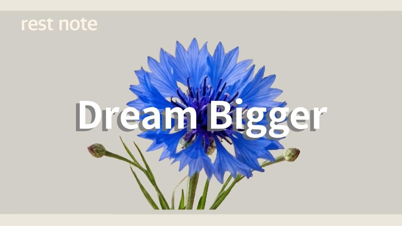 Dream Bigger｜さらに大きく夢をみよう｜Playlist Chill house