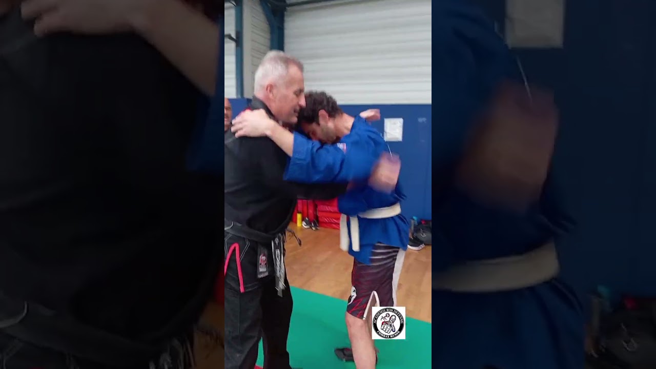 Stage de Sambo à Nîmes : l' Alliance des Disciplines sous l 'Expertise d' Eddy Ros