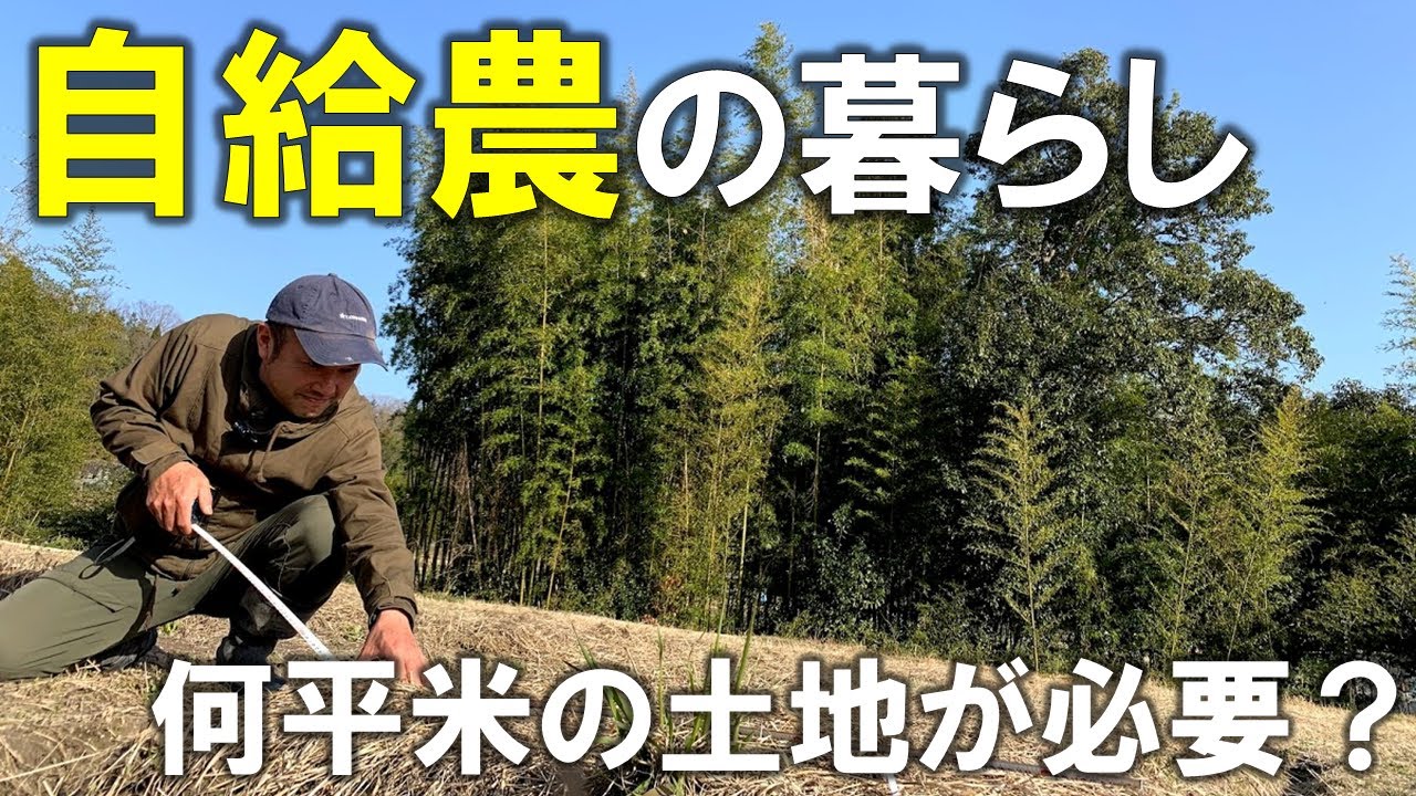 【自然農】これぐらいあれば大丈夫！自給農できる最小限の面積。