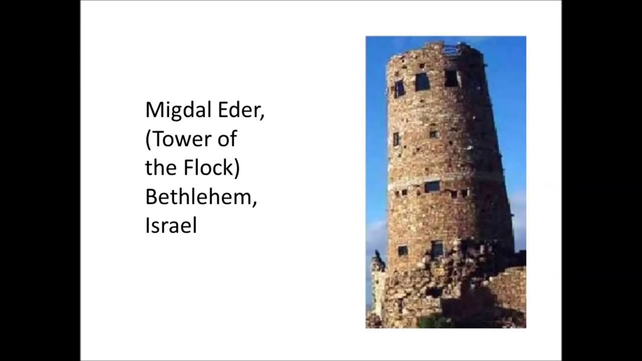 Where was Jesus really born?