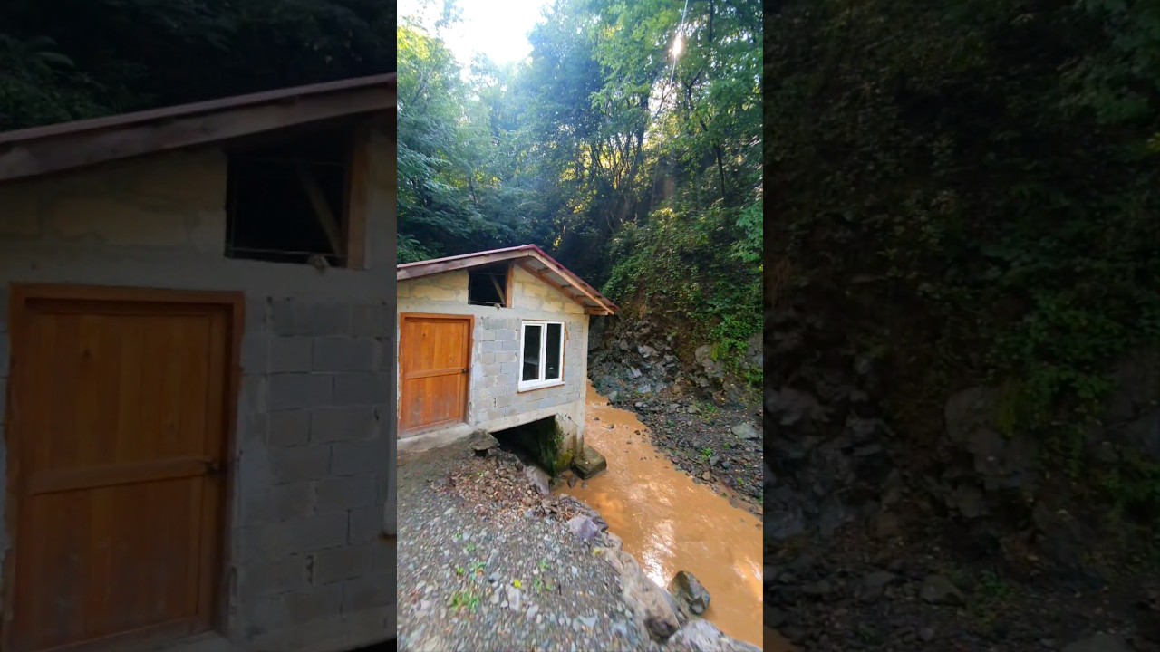 G&uuml;meli Yaylası - Alaplı / Zonguldak