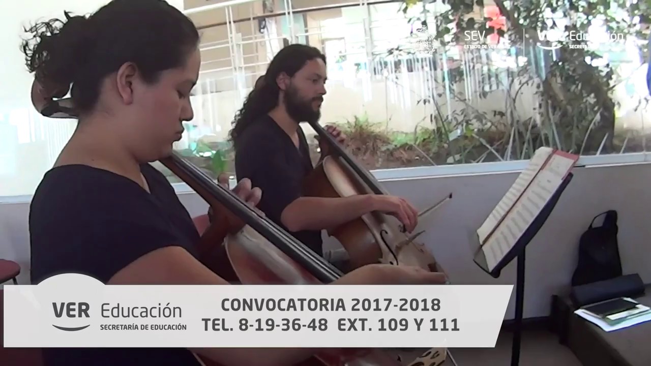 CONVOCATORIA CICLO PROFESIONAL ISMEV 2017-2018