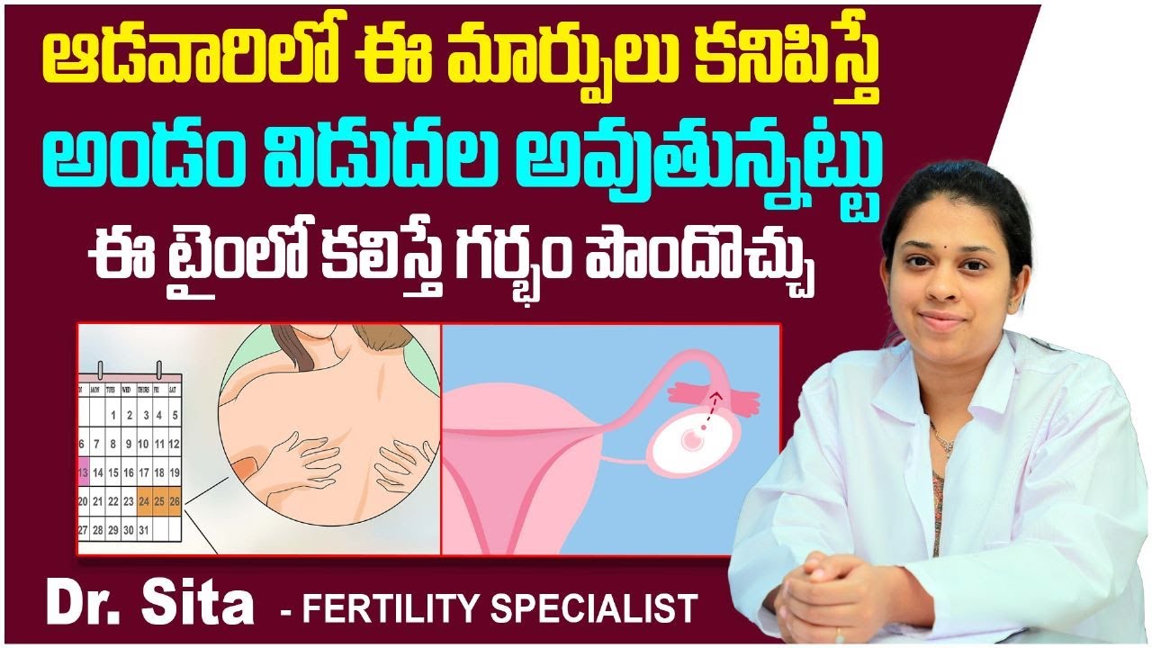 అండం విడుదల లక్షణాలు || How to Find Ovulation Day in Telugu || Ovulation Signs || Boon Fertility