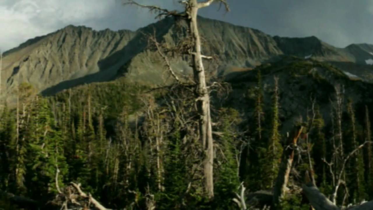Hike the Crazy Mountains by MontanaPictures.Net