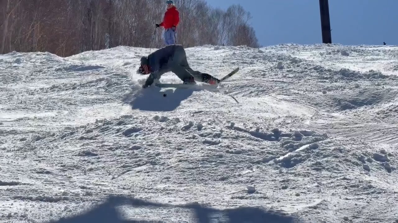 Telemoguls  Diary2026/2/22