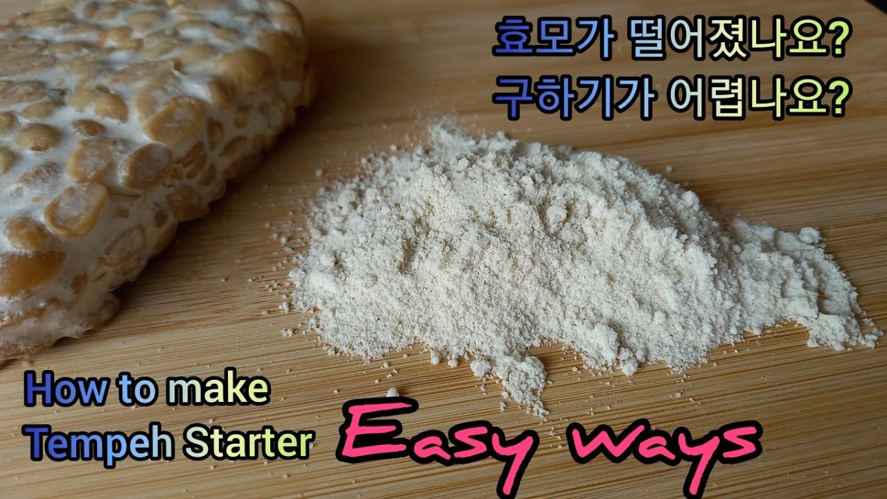템페 효모를 만들기 / How to make tempeh starter