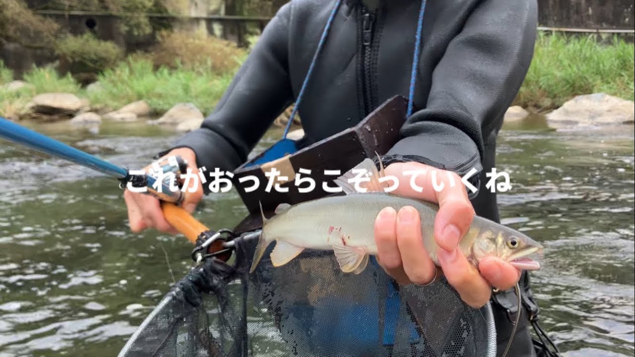 友釣りの専用区間が本日開放されると、たくさんの人が集まった