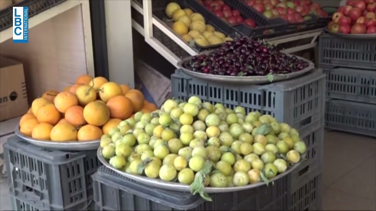 من الكورة في شمال لبنان... تعرفوا معنا على بلدة دار بعشتار في هذا الفيديو