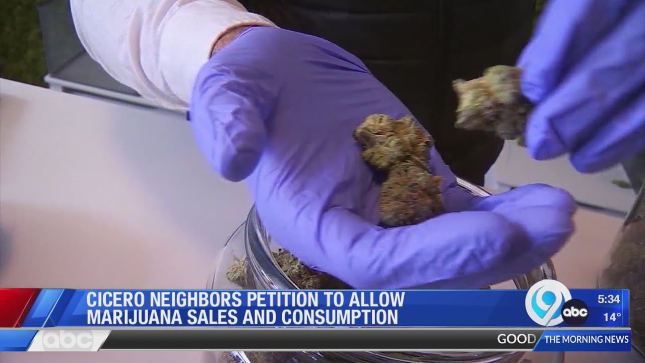 Opt in Cicero petition to allow marijuana sales and consumption
