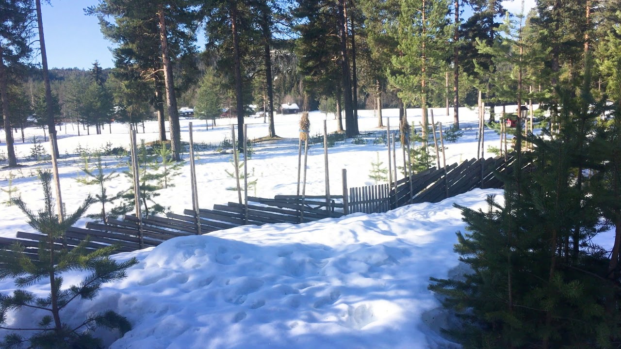 Statistikk - lengde p&aring; skiturer i vinterferien