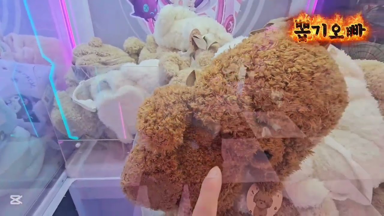 오늘은 어떤 인형들이 있으려나 