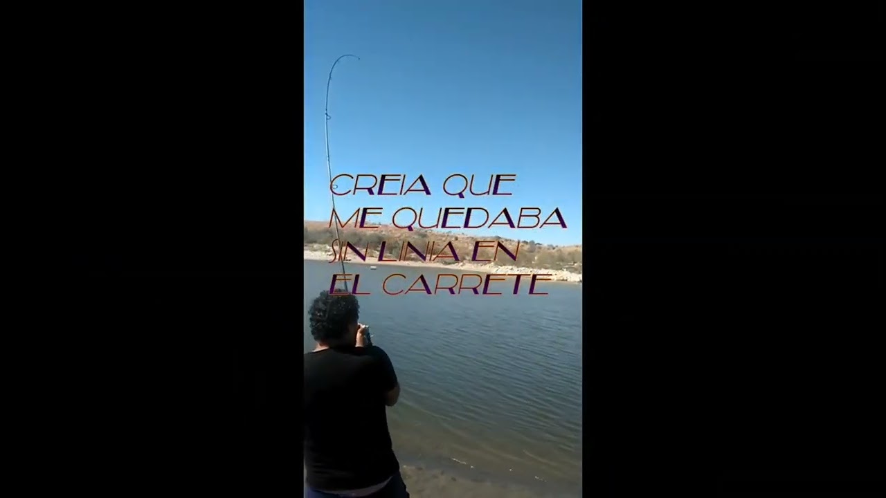carpfishing en Toledo . embalse del Castro .picadas de carpfishing