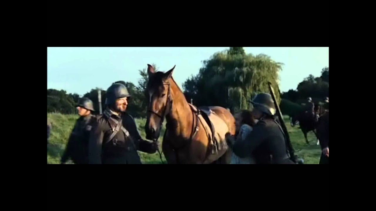 War Horse ~ Joey's life 3