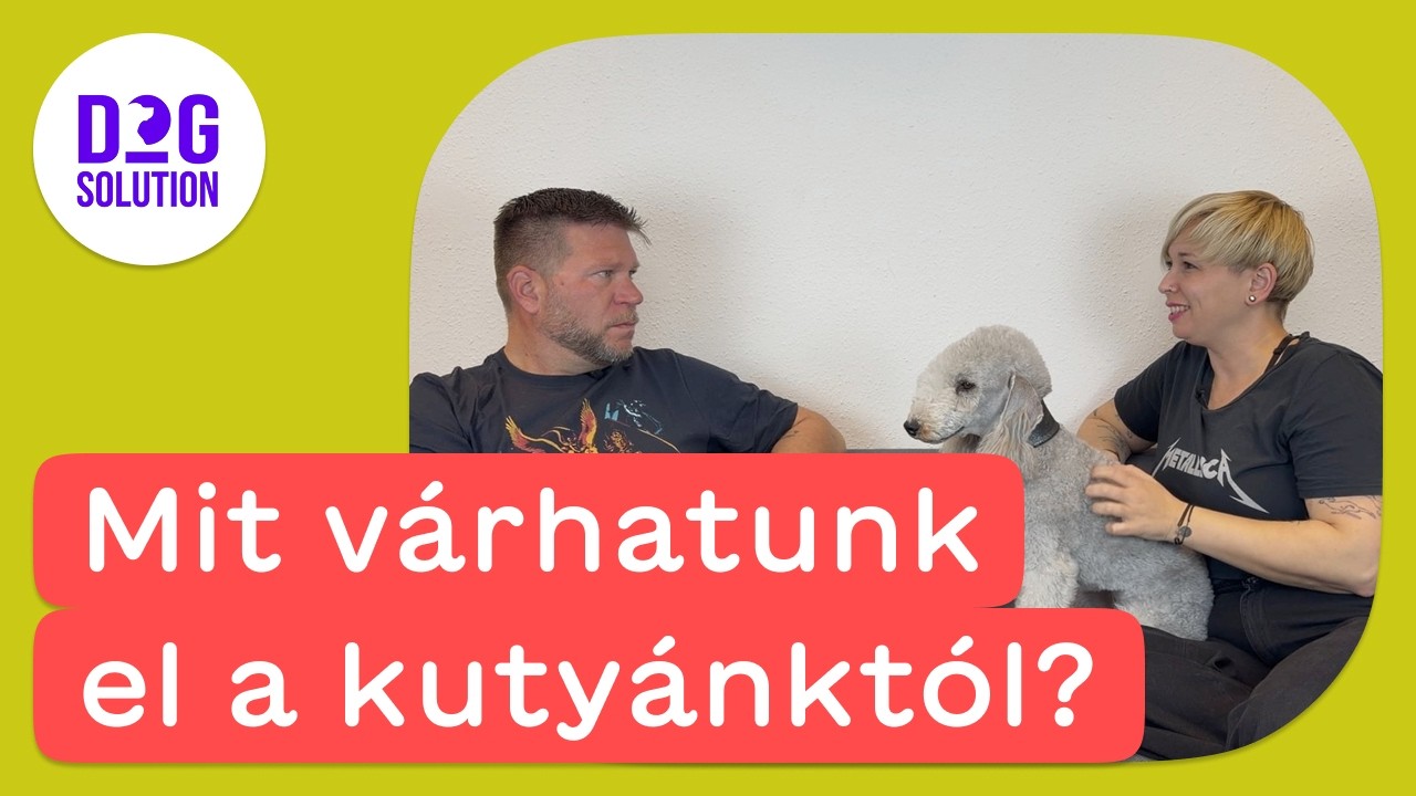 Dog Solution 04 - Mit várhatunk el a kutyánktól?