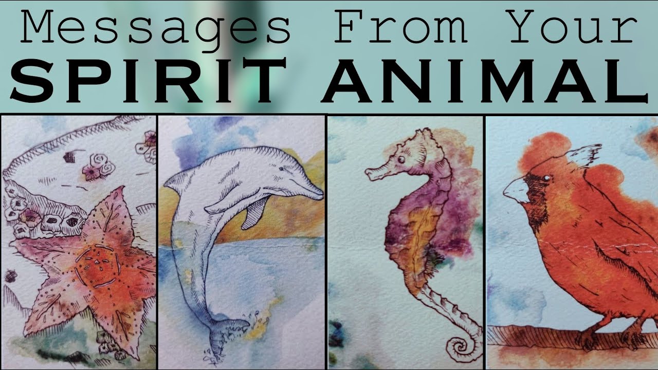 Messages From Your Spirit Animal | Pick A Card | Timeless Reading