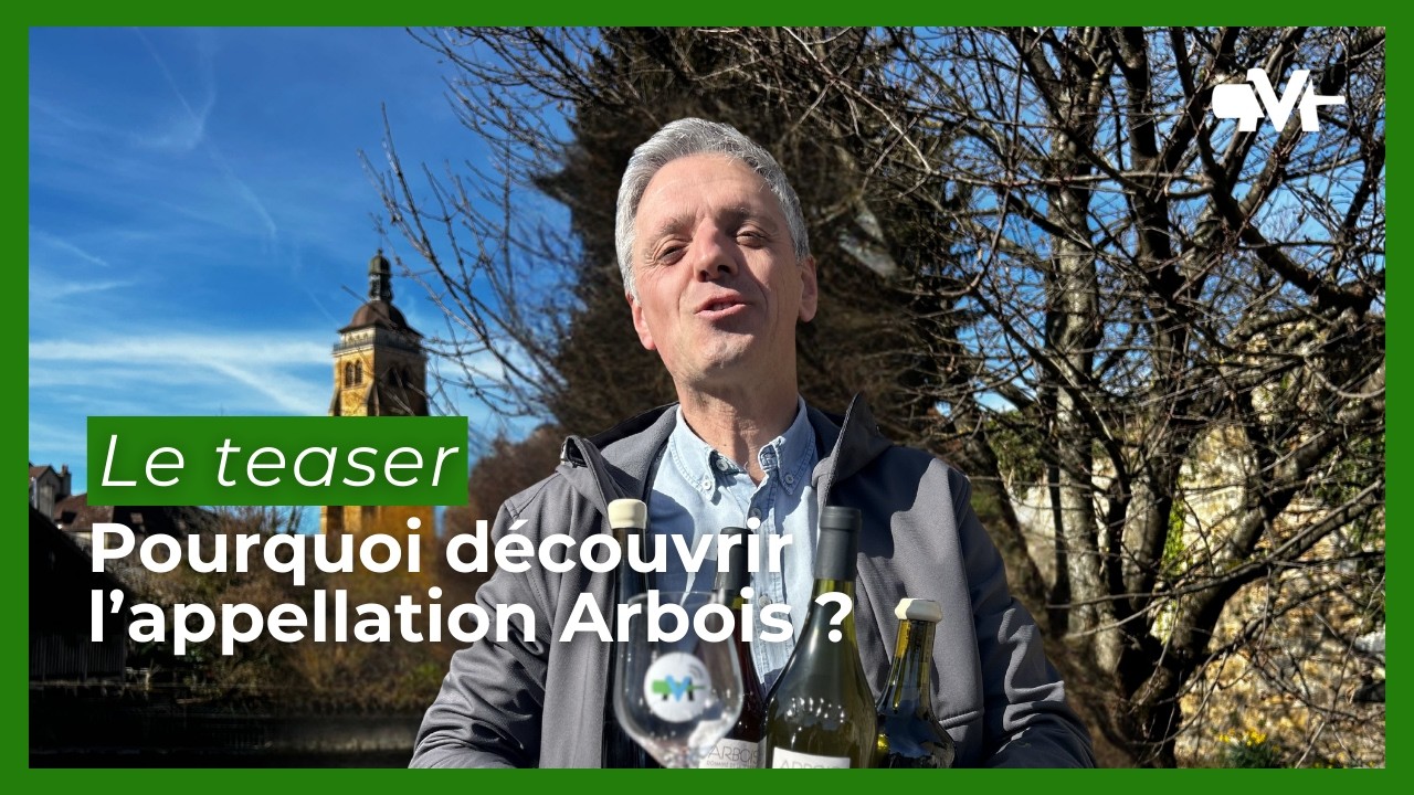 Pourquoi découvrir l'appellation Arbois pendant le mois de mars ?
