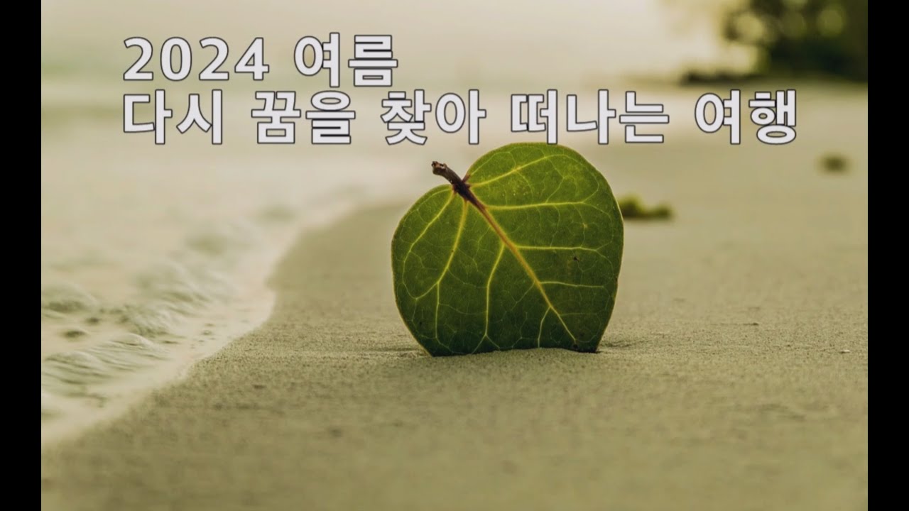 2024 동탄한마음교회 제주도 전교인 수련회