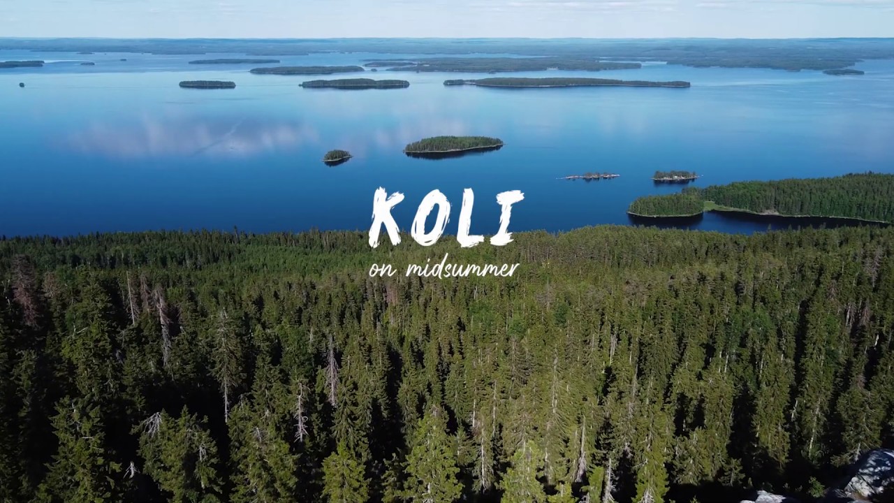 Koli National Park (Finland) on midsummer