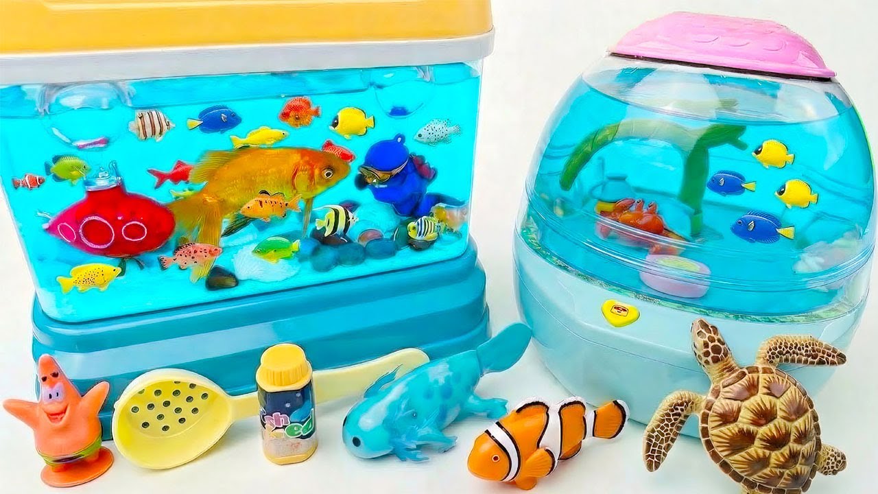Satisfying Unboxing Fun Fish Tank Aquarium Playset ASMR 아쿠아리움 장난감 언박싱 🐟🐢🐡 Review Toy