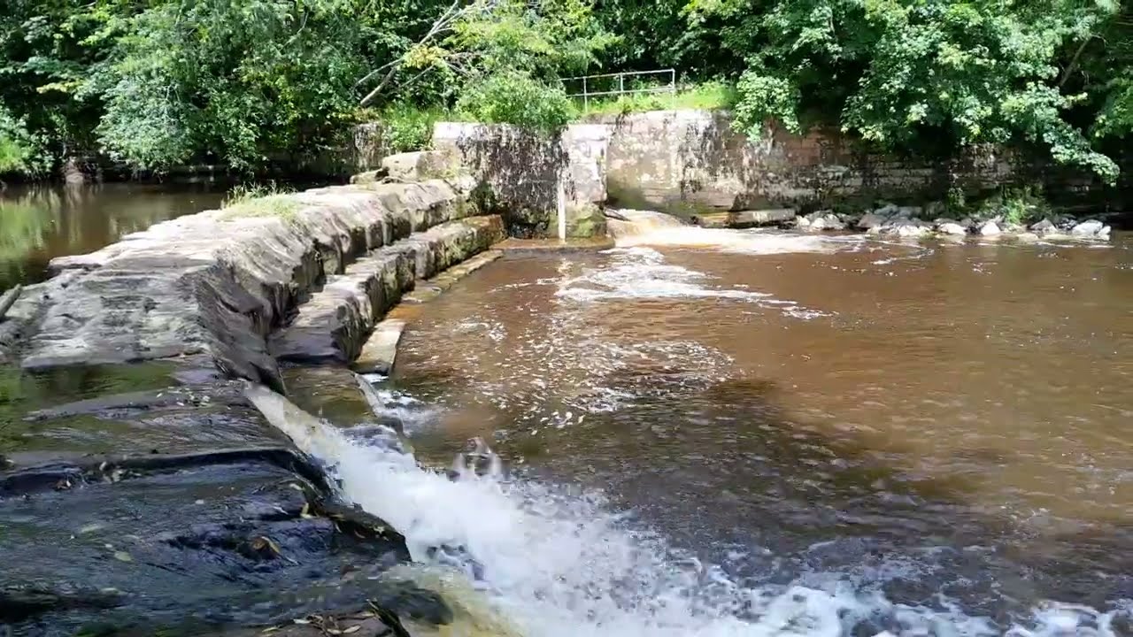 Salmon Leap Fish Pass River Esk (Yorkshire)