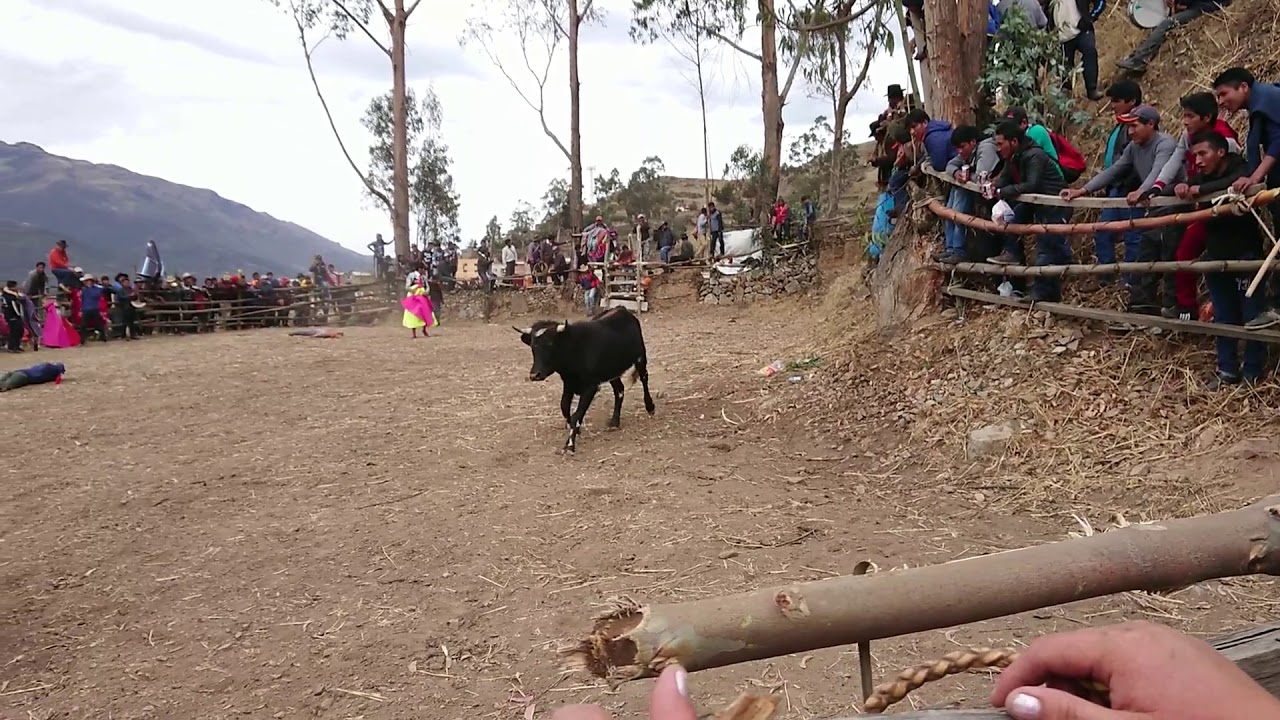 CORRIDA DE TOROS CHARAZANI 2018, PARTE 3